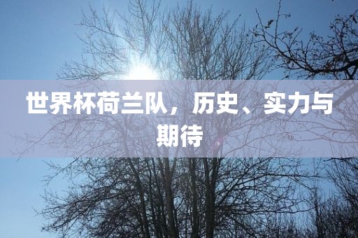 世界杯荷兰队，历史、实力与期待