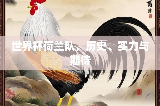世界杯荷兰队，历史、实力与期待