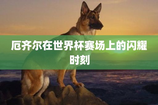厄齐尔在世界杯赛场上的闪耀时刻