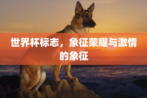 世界杯标志，象征荣耀与激情的象征