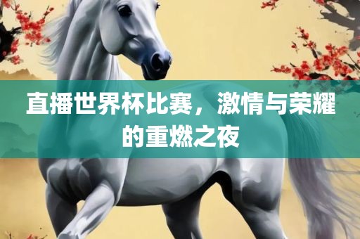 直播世界杯比赛，激情与荣耀的重燃之夜吉安市靖泰电力工程有限公司