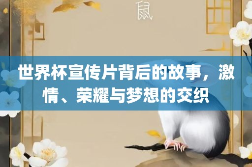 世界杯宣传片背后的故事，激情、荣耀与梦想的交织