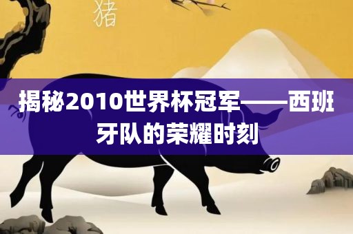 揭秘2010世界杯冠军——西班牙队的荣耀时刻