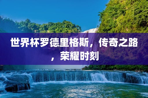 世界杯罗德里格斯，传奇之路，荣耀时刻