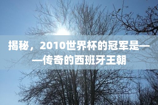 揭秘，2010世界杯的冠军是——传奇的西班牙王朝