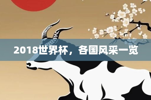 2018世界杯，各国风采一览