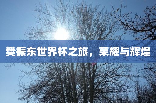 樊振东世界杯之吉安市靖泰电力工程有限公司旅，荣耀与辉煌