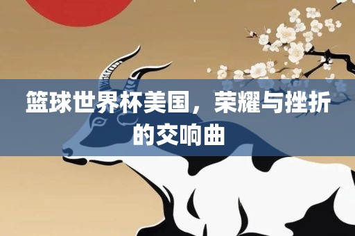 篮球世界杯美国，荣耀与挫折的交响曲