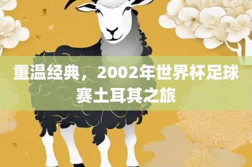 重温经典，2002年世界杯足球赛土耳其之旅