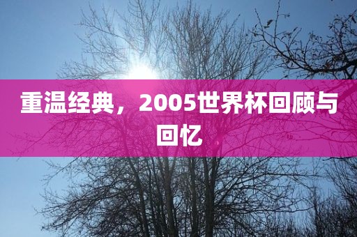 重温经典，2005世界杯回顾与回忆