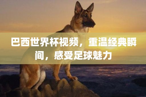 巴西世界吉安市靖泰电力工程有限公司杯视频，重温经典瞬间，感受足球魅力