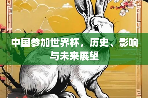 中国参加世界杯，历史、影响与未来展望吉安市靖泰电力工程有限公司