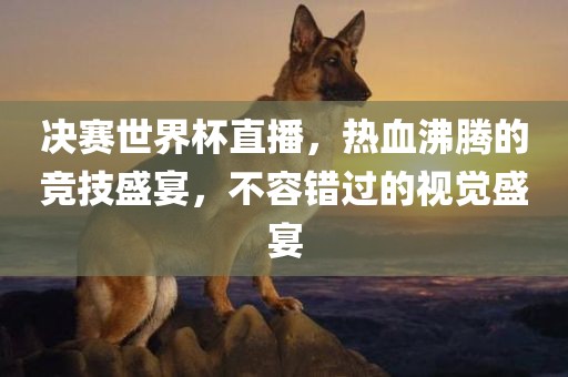 决赛世界杯直播，热血沸腾的竞技盛宴，不容错过的视觉盛宴