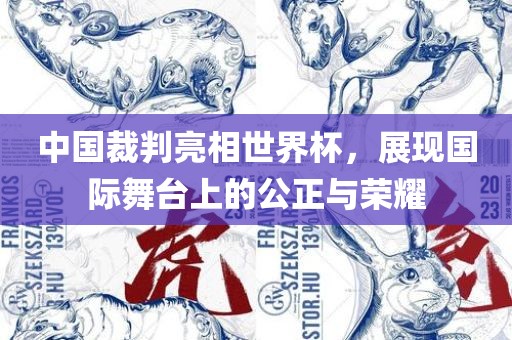 中国裁判亮相世界杯，展现国际舞台上的公正与荣耀