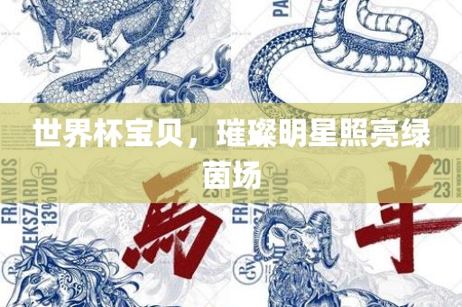 世界杯宝贝，璀璨明星照亮绿茵场吉安市靖泰电力工程有限公司