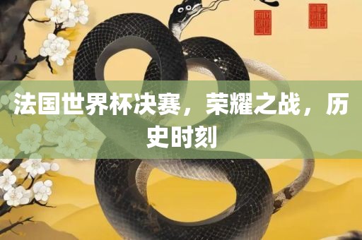 法国世界杯决赛，荣耀之战，历史时刻吉安市靖泰电力工程有限公司