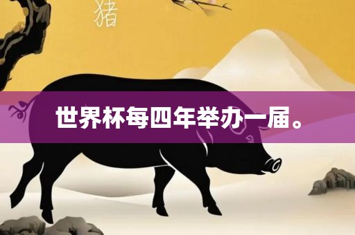世界杯每四年举办一届。