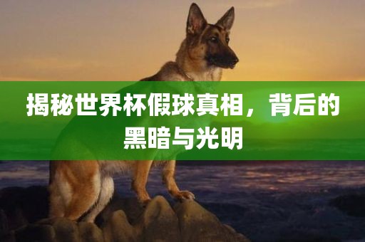 揭秘世界杯假球真相，背后的黑暗与光明