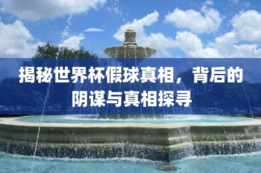 揭秘世界杯假球真相，背后的阴谋与真相探寻