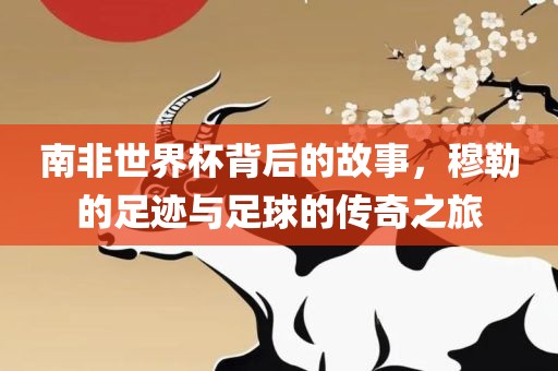 南非世界杯背后的故事，穆勒的足迹与足球的传奇之旅