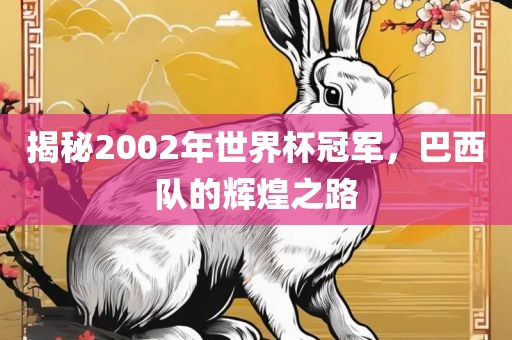 揭秘2002年世界杯冠军，巴西队的辉煌之路