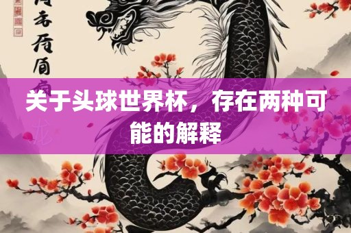 关于头球世界杯，存在两种可能的解释