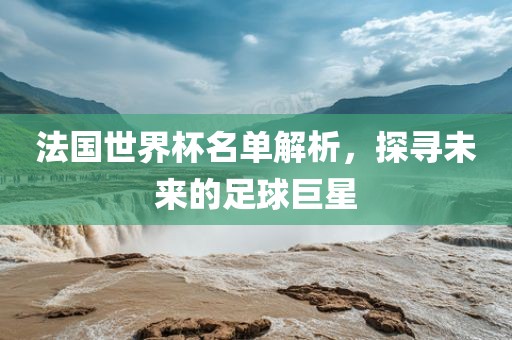 法国世界杯名单解析，探寻未来的足球巨星吉安市靖泰电力工程有限公司