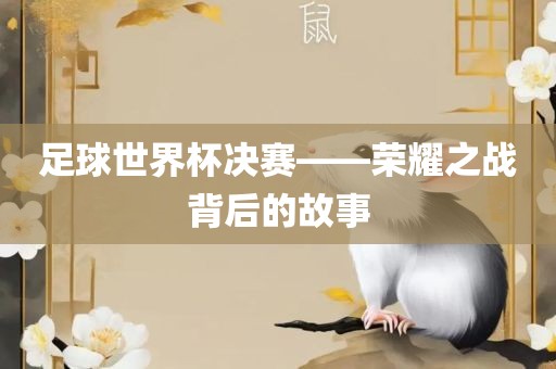 足球世界杯决赛——荣耀之战背后的故事
