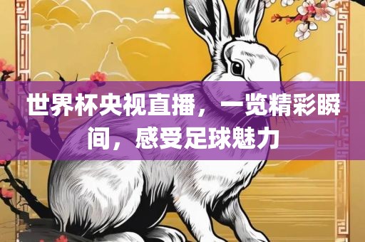 世界杯央视直播，一览精彩瞬间，感受足球魅力吉安市靖泰电力工程有限公司