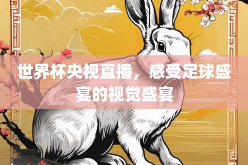 世界杯央视直播，感受足球盛宴的视觉盛宴