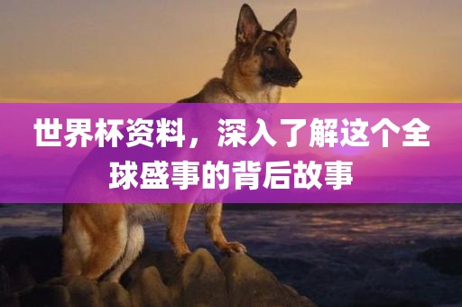 chenxinyao 第7页