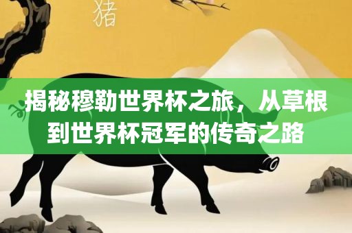 揭秘穆勒世界杯之旅，从草根到世界杯冠军的传奇之路