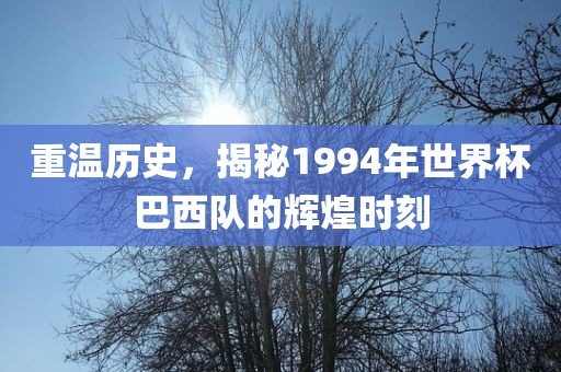 重温历史，揭秘1994年世界杯巴西队的辉煌时刻