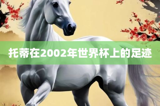 托蒂在2002年世界杯上的足迹
