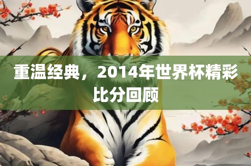 重温经典，2014年世界杯精彩比分回顾
