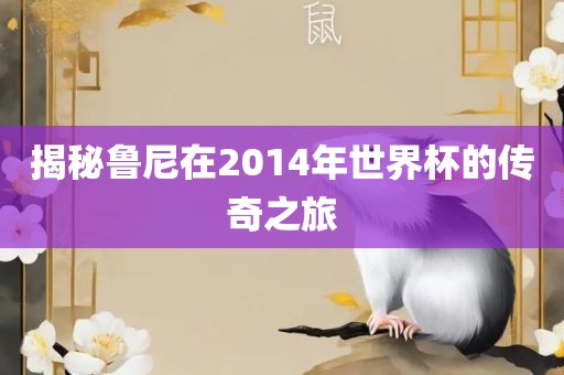 揭秘鲁尼在2014年世界杯的传奇之旅