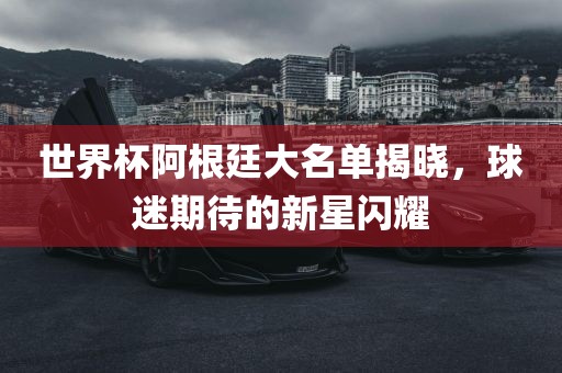 世界杯阿根廷大名单揭晓，球迷期待的新星闪耀