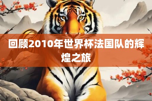 回顾2010年世界杯法国队的辉煌之旅