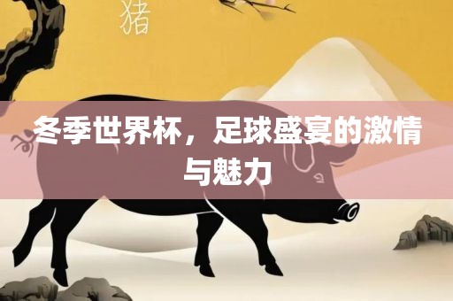 冬季世界杯，足球盛宴的激情与魅力