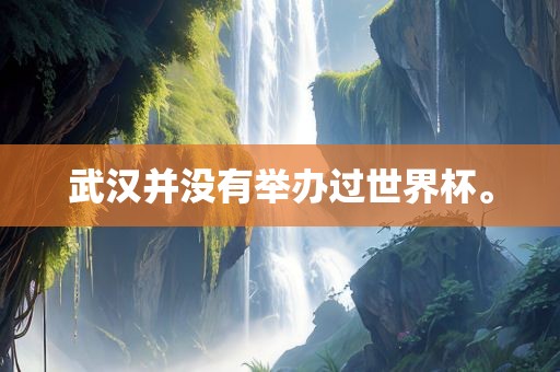 武汉并吉安市靖泰电力工程有限公司没有举办过世界杯。