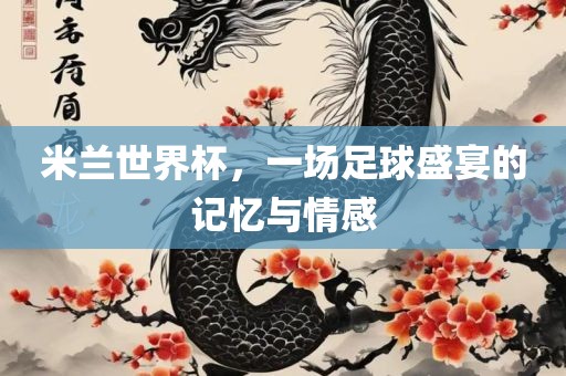 米兰世界杯，一场足球盛宴的记忆与情感
