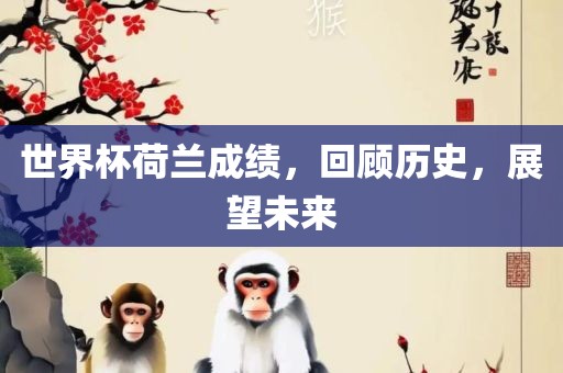 世界杯荷兰成绩，回顾历史，展望未来