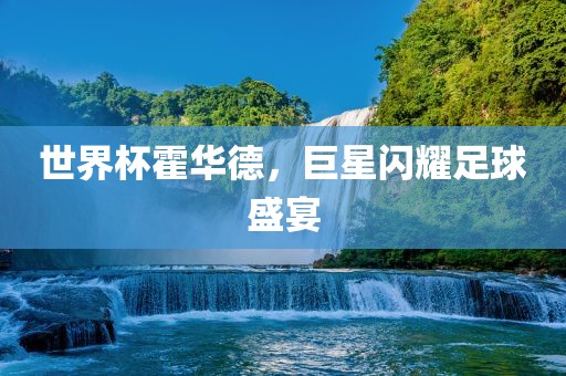 世界杯霍华德，巨星闪耀足球盛宴