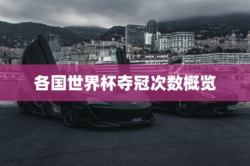 各国世界杯夺冠次数概览