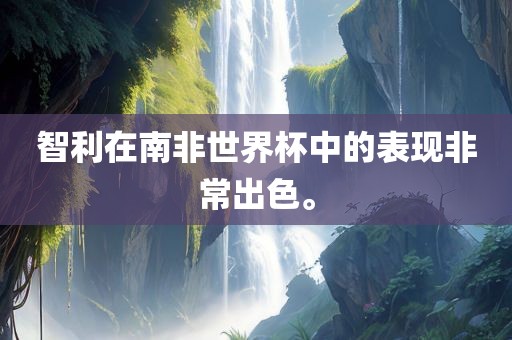 智利在南非世界杯中的表现非常出色。