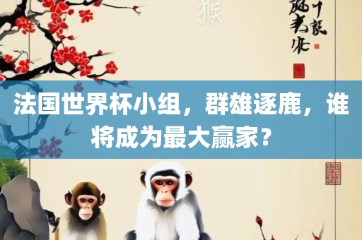 法国世界杯小组，群雄逐鹿，谁将成为最大赢家？