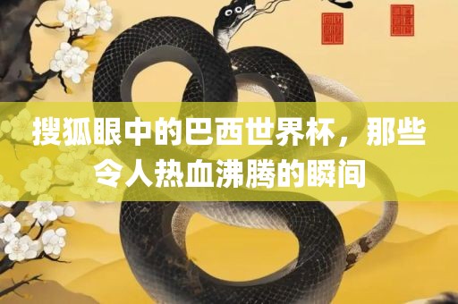 搜狐眼中的巴西世界杯，那些令人热血沸腾的瞬间