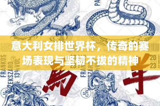 意大利女排世界杯，传奇的赛场表现与坚韧不拔的精神