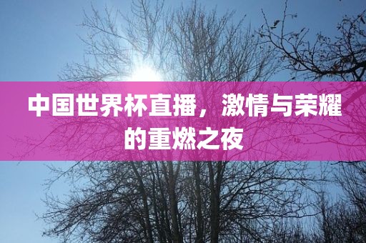 中国世界杯直播，激情与荣耀的重燃之夜吉安市靖泰电力工程有限公司