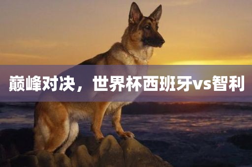 巅峰对决，世界杯西班牙vs智利